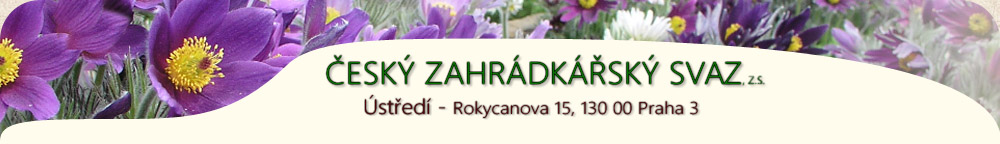 hlavika