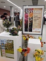 Obr: 2194.jpg