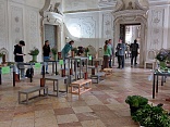 Obr: 2401.jpg