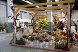 Obr: 2450.jpg