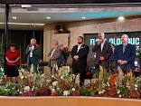Obr: 2465.jpg