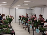 Obr: 2467.jpg