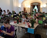 Obr: 2649.jpg