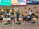 Obr: 2683.jpg