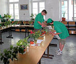Obr: 1