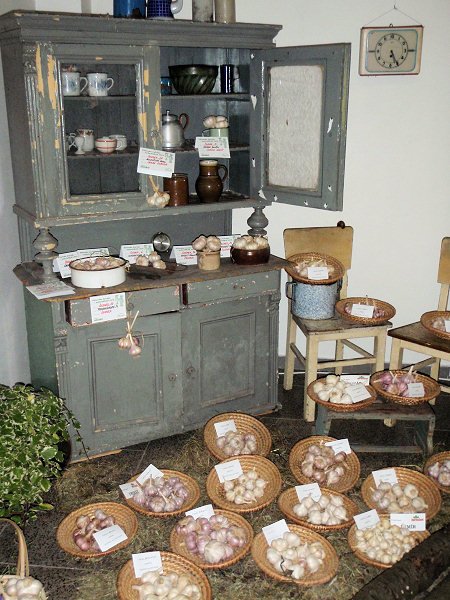 zahradaech2011expoziceasopisuzahrdkpavilong4.jpg