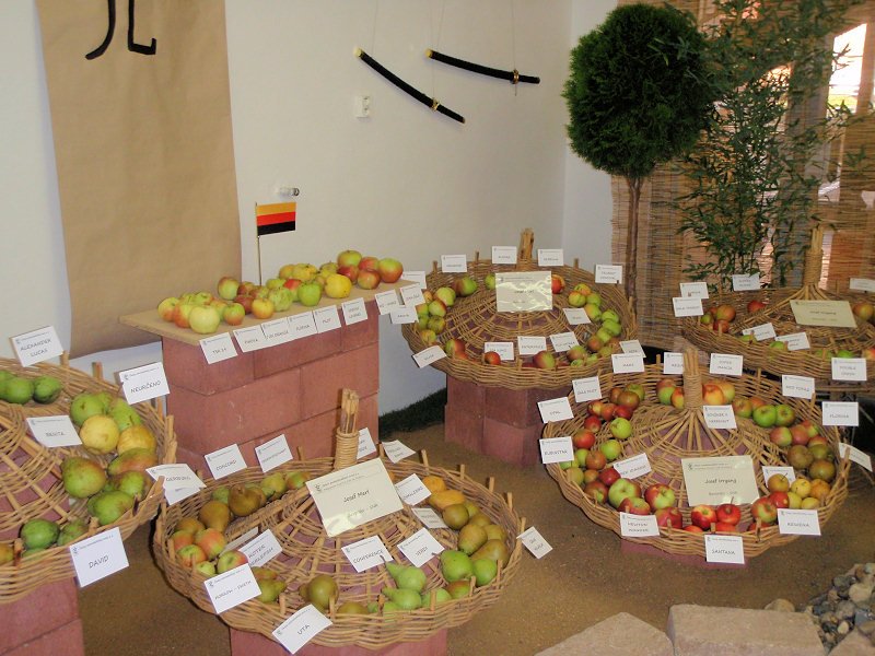 zahradaech2011expozicezspavilond.jpg