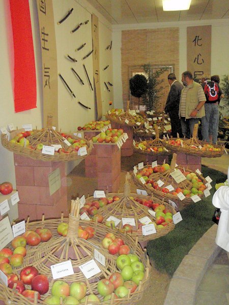zahradaech2011expozicezspavilond2.jpg