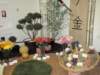 zahradaech2011expozicezspavilond4_small.jpg