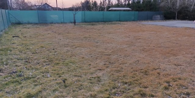 Obr: 13459.jpg