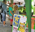 obr1