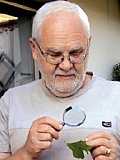 obr1