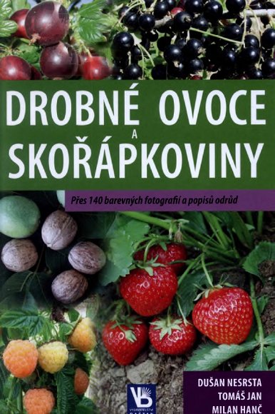 Obr: 30.jpg