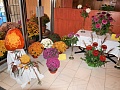 Obr: 23825.jpg