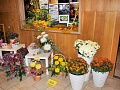 Obr: 23828.jpg
