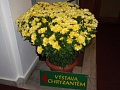 Obr: 9143.jpg