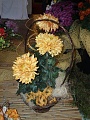 Obr: 9148.jpg