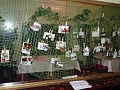 Obr: 9157.jpg