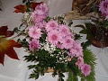 Obr: 9159.jpg