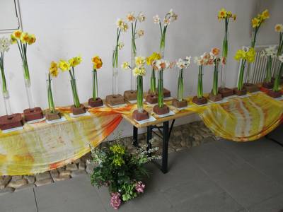 Obr: 16824.jpg