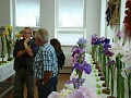 Obr: 16184.jpg