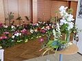 Obr: 16836.jpg