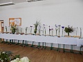 Obr: 16839.jpg