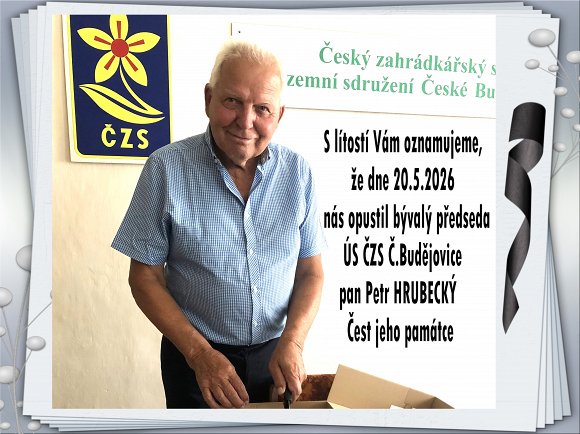 Obr: 1224.jpg