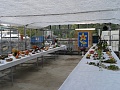 Obr: 3715.jpg