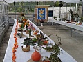 Obr: 3716.jpg