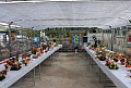 Obr: 3719.jpg