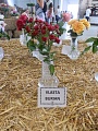 Obr: 4614.jpg
