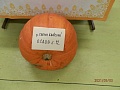 Obr: 4632.jpg