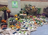 Obr: 5228.jpg