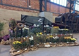 Obr: 5230.jpg
