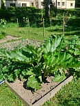 Obr: 5131.jpg