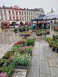 Obr: 5646.jpg