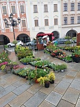 Obr: 5647.jpg
