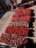 Obr: 5679.jpg