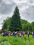 Obr: 6457.jpg
