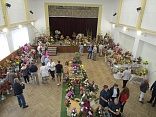 Obr: 5152.jpg