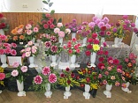 Obr: 5154.jpg