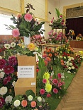 Obr: 5156.jpg