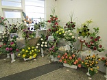 Obr: 5159.jpg