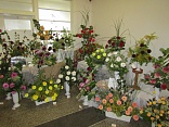 Obr: 5160.jpg