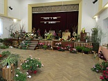 Obr: 5211.jpg