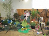 Obr: 5222.jpg