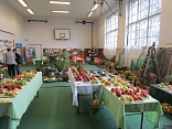 Obr: 5224.jpg