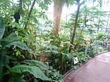 Obr: 5316.jpg