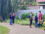 Obr: 1568.jpg